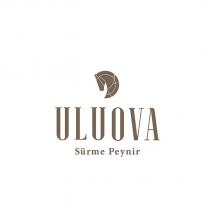 uluova sürme peynir