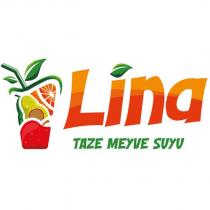 lina taze meyve suyu