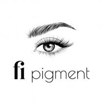 fi pigment