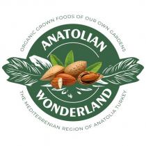 anatolian wonderland organic grown foods of our own gardens the mediterrenian region of anatolia turkey