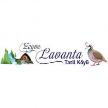 zeyve lavanta tatil köyü