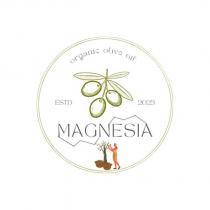 magnesia organic olive oil estd 2023
