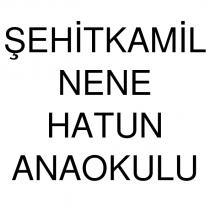 şehitkamil nene hatun anaokulu