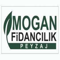 mogan fidancılık peyzaj