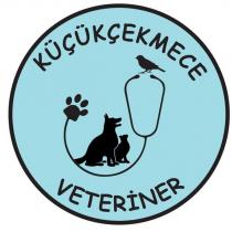küçükçekmece veteriner
