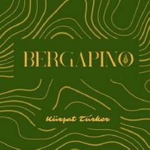 kürşat türker bergapino