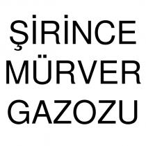 şirince mürver gazozu
