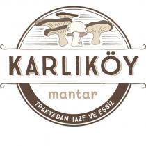 karlıköy mantar trakya'dan taze ve eşsiz