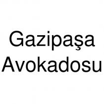 gazipaşa avokadosu