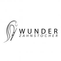 wunder zahnstocher