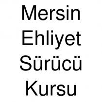 mersin ehliyet sürücü kursu