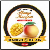 sera tropikal a.ş. alanya mangosu mango by air turkiye
