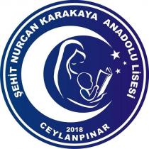 şehit nurcan karakaya anadolu lisesi ceylanpınar 2018