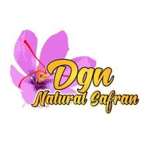 dgn natural safran