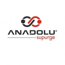 anadolu süpürge