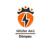 nilüfer akü dünyası