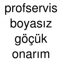 profservis boyasız göçük onarım