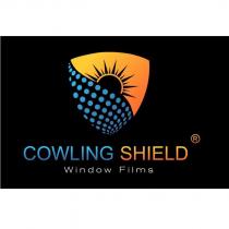 cowling shield window films