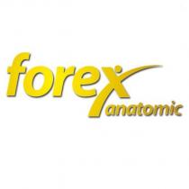 forex anatomic