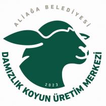 aliağa belediyesi damızlık koyun üretim merkezi 2023