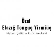 özel elazığ tonguç yirmiüç kişisel gelişim kurs merkezi