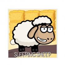 sleeping sheep