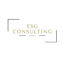 esg consulting group