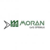 moran gas springs