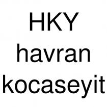 hky havran kocaseyit