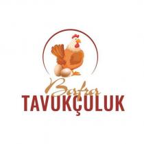 bafra tavukçuluk