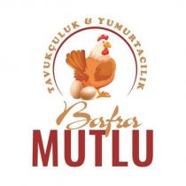bafra mutlu tavukçuluk & yumurtacılık