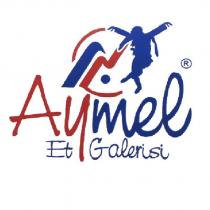 aymel et galerisi
