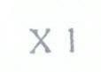 x1