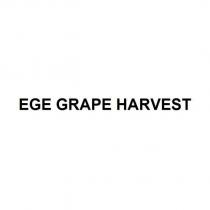 ege grape harvest