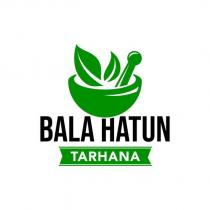 bala hatun tarhana
