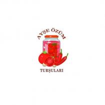 ayşe özüm turşuları