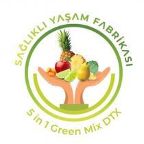 sağlıklı yaşam fabrikası 5 in 1 green mix dtx