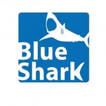 blue shark