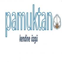 pamuktan-kendine özgü