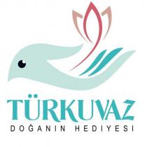 türkuvaz doğanın hediyesi