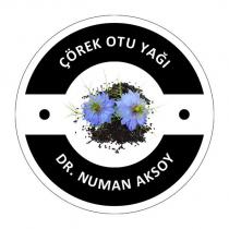 dr. numan aksoy çörek otu yağı