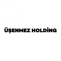 üşenmez holding