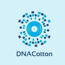 dna cotton