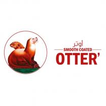 smooth coated otter'