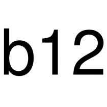 b12