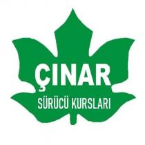 çınar sürücü kursları