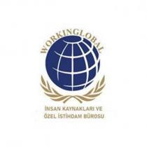 workın global insan kaynakları ve özel istihdam bürosu