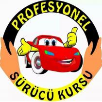 profesyonel sürücü kursu