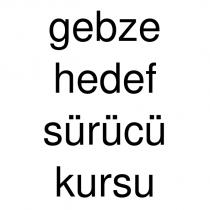 gebze hedef sürücü kursu