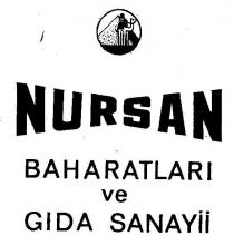 nursan baharatlari